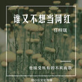 任梓琪 - 谁又不想当网红