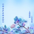 任梓琪、小啊涛 - 不负岁月不负卿 (伴奏)
