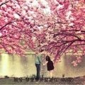 梦里梦外都是你(DJ版)