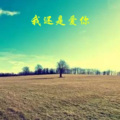 小可、虎妹、韦康、欧阳泽 - 我决定 不再犯贱了