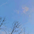 诗人沈 - 说谎