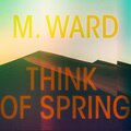 M. Ward - You've Changed
