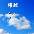 安琪 - 路人甲