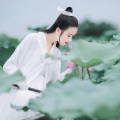 清凌 - 信鸽战歌