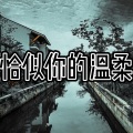爱惜 - 我的楼兰