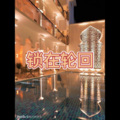 阿欣 - 锁在轮回
