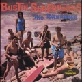 The Tornadoes - Bustin' Surfboards