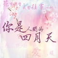 淡忘一季 - 天黑黑