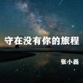 张小磊 - 守在没有你的旅程