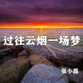 张小磊 - 过往云烟一场梦