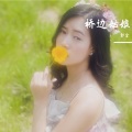 郭金 - 桥边姑娘