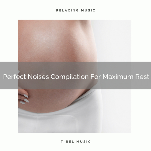 Perfect Noises Compilation For Maximum Rest