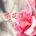 顾兮 - 茶花满路
