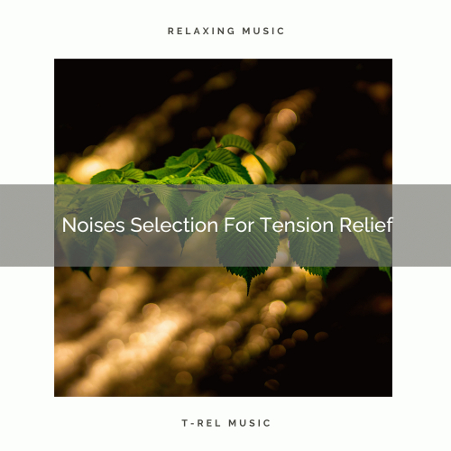 Noises Selection For Tension Relief