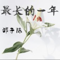 邵子陈 - 你走以后 (DJ版)