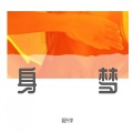 段兴华 - 身梦