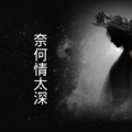 星爵、芷晗、小可、虞姬 - 不要在我伤口撒盐