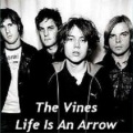 The Vines - Mary Jane (remix)
