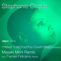 stephanie cooke - I Never Told You (You Could Stay)(R&B Mix)