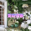 爱惜 - 越来越不懂
