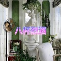 爱惜 - 投名状