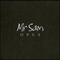 Mr Sam - Ten Seconds Before Sunrise