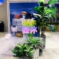 爱惜 - 你的猫咪