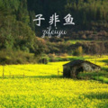 子非鱼