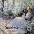Sunrise(四万万朵玫瑰)