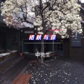 申先生 - 我抱着你离去