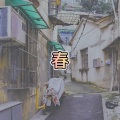 大乔 - 酸的甜 (太阳版)