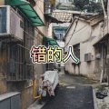 大乔 - 时光正好 (太阳版)
