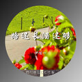 伊佳一 - 路还长酒还够 (伴奏)