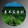 伊佳一 - 来不及告别 (伴奏)