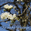 Om Adella - Kowe Neng Atiku
