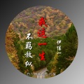 伊佳一 - 我这一生不羁放纵 (伴奏)