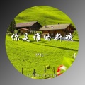 伊佳一 - 你是谁的新欢 (伴奏)
