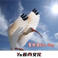 DJ YiXiu、9先生、虞姬、苏可可 - 这次有点狠 (DJ版)