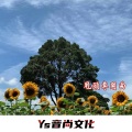 DJ澈子、小可、虞姬、苏可可 - 玩转鼓点I Know You Want Me (DJ版)