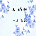 小飞总 - 小丑 舔狗