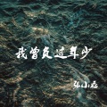 我曾负过年少