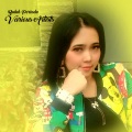Ronal Fenan、Various Artists - Kursi Pelaminan