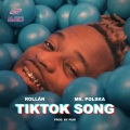 TikTok Song (feat. Mr. Polska & Puri|Explicit)