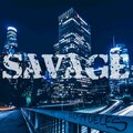 TC - Savage (Explicit)