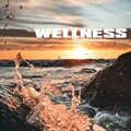 Wellness Pur、Wellness、Wellness Spa Oasis - Never Letting Go