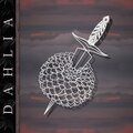 Mada - Dahlia