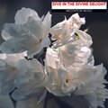Liquid Ambiance、Mystical Guide - All This Time
