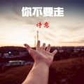 诗意 - 梅花泪