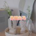 北雪 - 时间里流浪