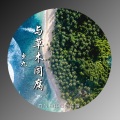 虫九 - 与草木同腐
